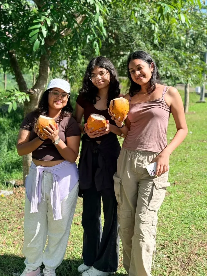 Enjoying fresh king coconuts — a Sri Lankan road trip essential