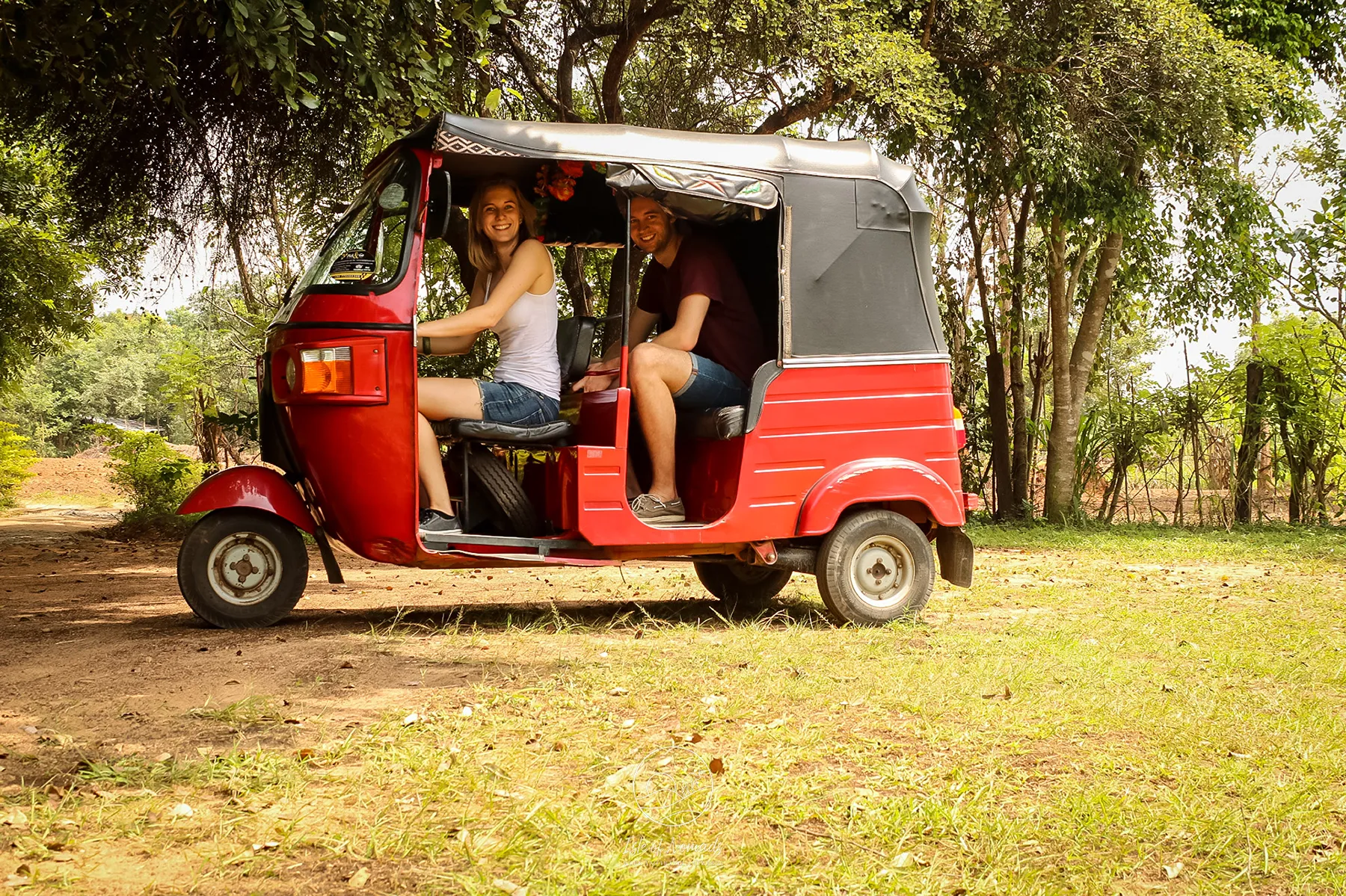Vehicle Rentals